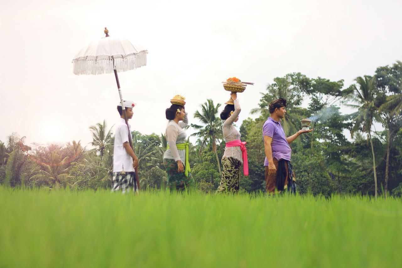 Villa Ibu Rama Ubud Denpasar  Ngoại thất bức ảnh