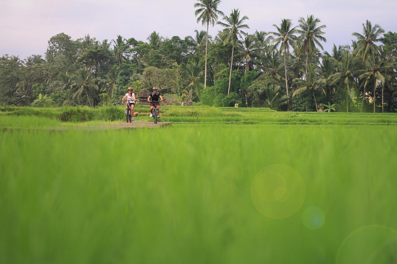 Villa Ibu Rama Ubud Denpasar  Ngoại thất bức ảnh