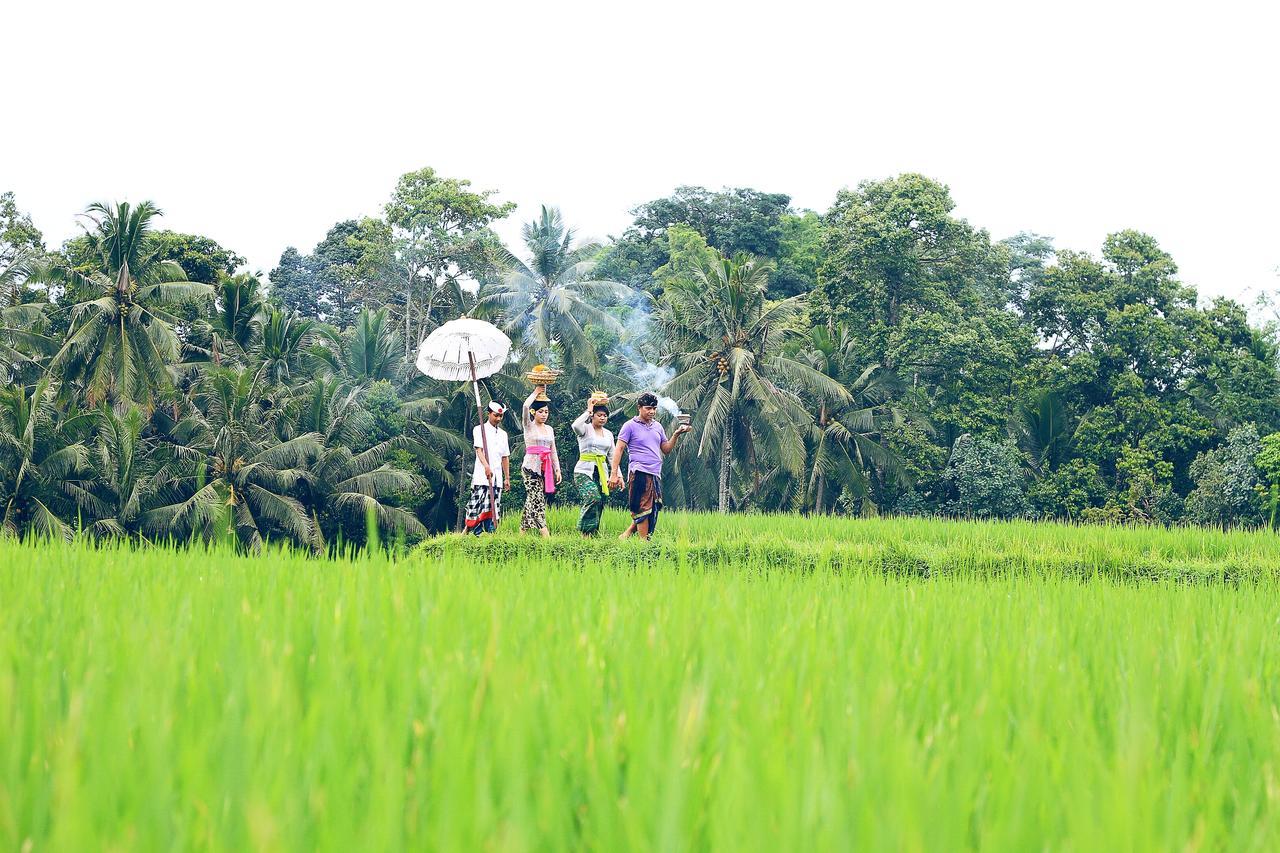 Villa Ibu Rama Ubud Denpasar  Ngoại thất bức ảnh