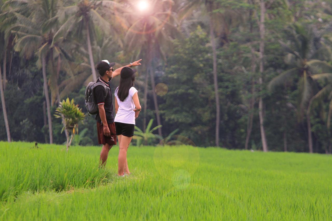 Villa Ibu Rama Ubud Denpasar  Ngoại thất bức ảnh