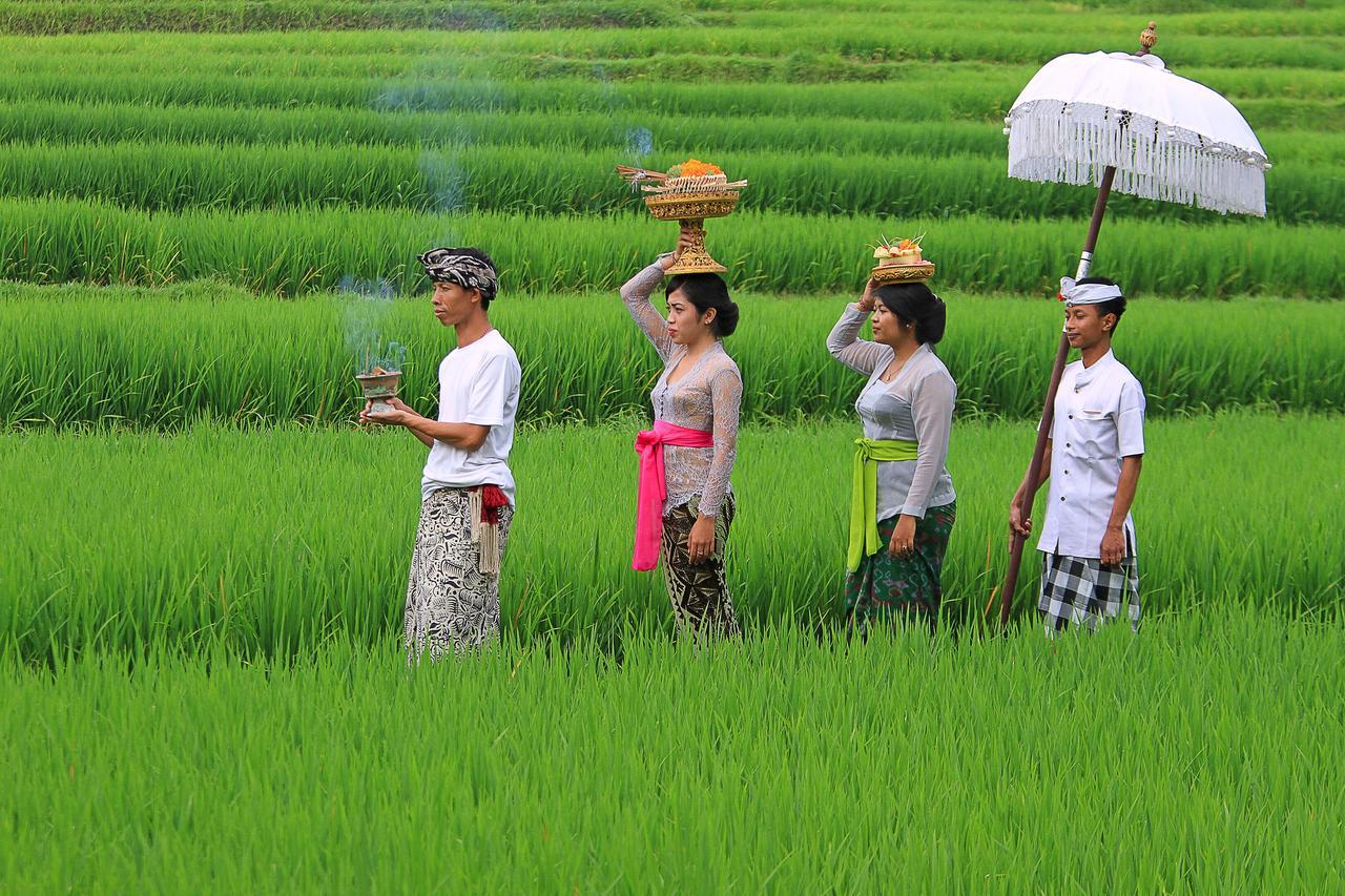 Villa Ibu Rama Ubud Denpasar  Ngoại thất bức ảnh