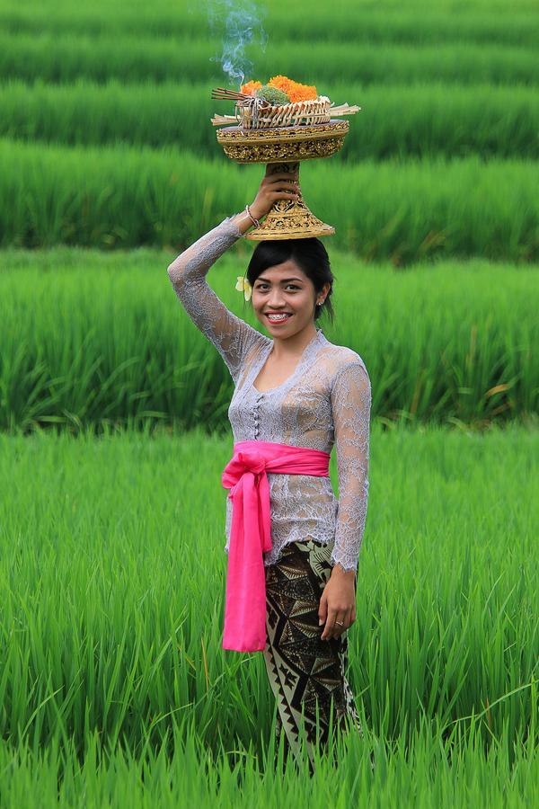 Villa Ibu Rama Ubud Denpasar  Ngoại thất bức ảnh