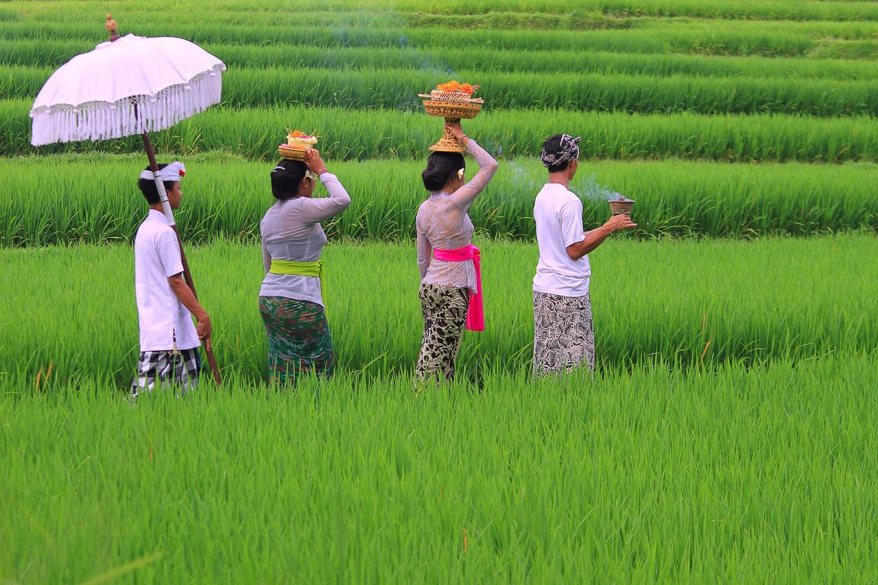 Villa Ibu Rama Ubud Denpasar  Ngoại thất bức ảnh